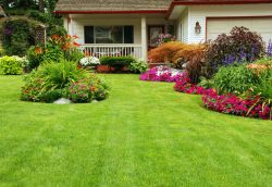 Gartenservice Nürnberg und Fürth
