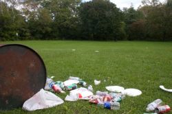 Unrat aus Gartenanlagen beseitigen Nürnberg und Fürth